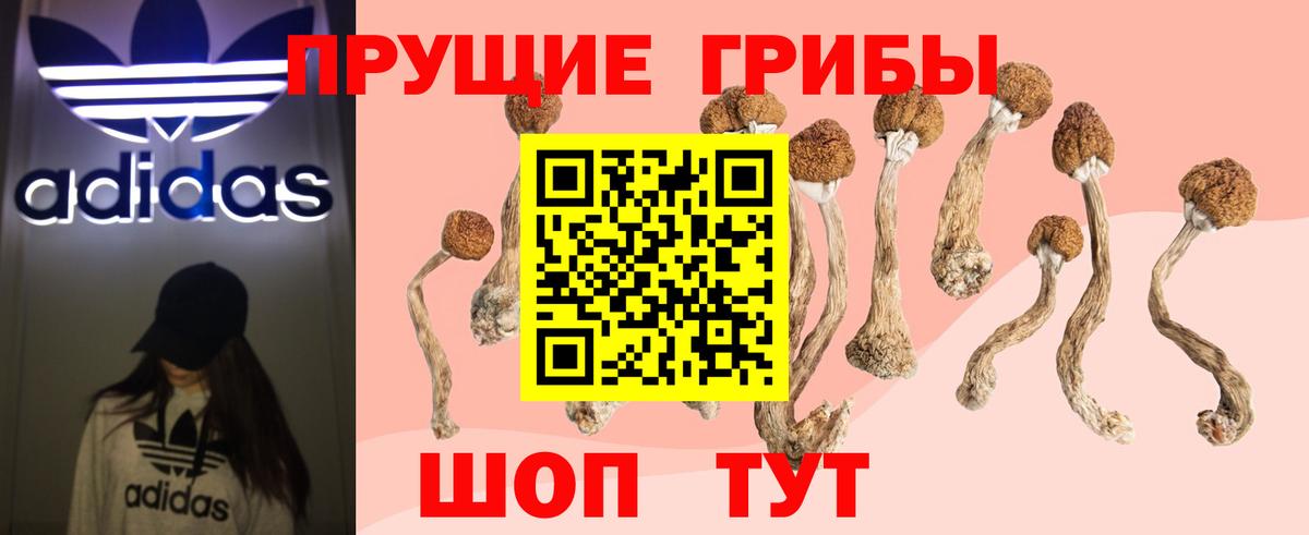 Псилоцибиновые грибы GOLDEN TEACHER  Вход с VPN  Псилоцибиновые грибы Psilocybine cubensis  Спасск-Дальний 